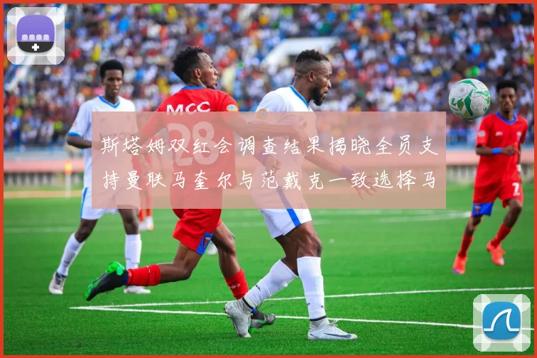 斯塔姆双红会调查结果揭晓全员支持曼联马奎尔与范戴克一致选择马奎尔