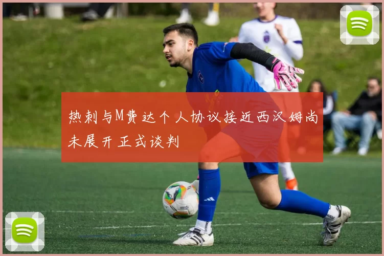 热刺与M费达个人协议接近西汉姆尚未展开正式谈判