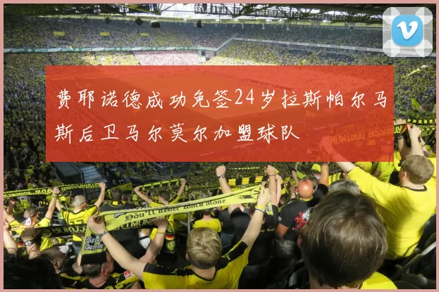 费耶诺德成功免签24岁拉斯帕尔马斯后卫马尔莫尔加盟球队