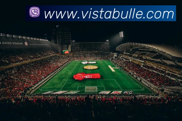 云·开体育登录入口网页版APP 封面图